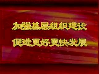 界城镇组织观摩学习基层建设年活动
