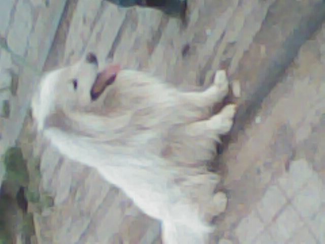 ������ĦҮ�ҵĺù�